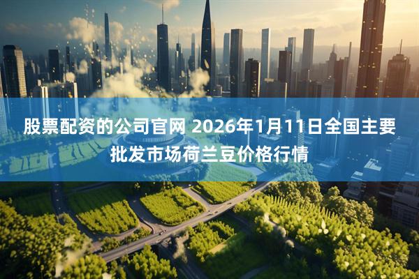 股票配资的公司官网 2026年1月11日全国主要批发市场荷兰豆价格行情
